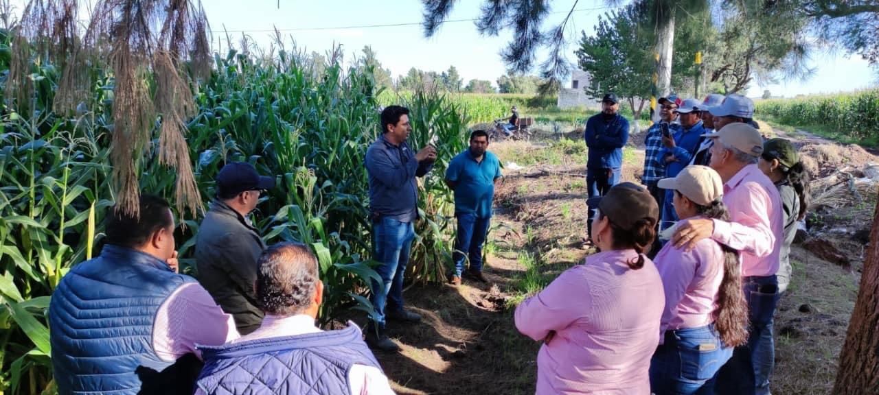 Agricultores de Perú, Ecuador y Colombia visitan islas agropecuarias de La Piedad