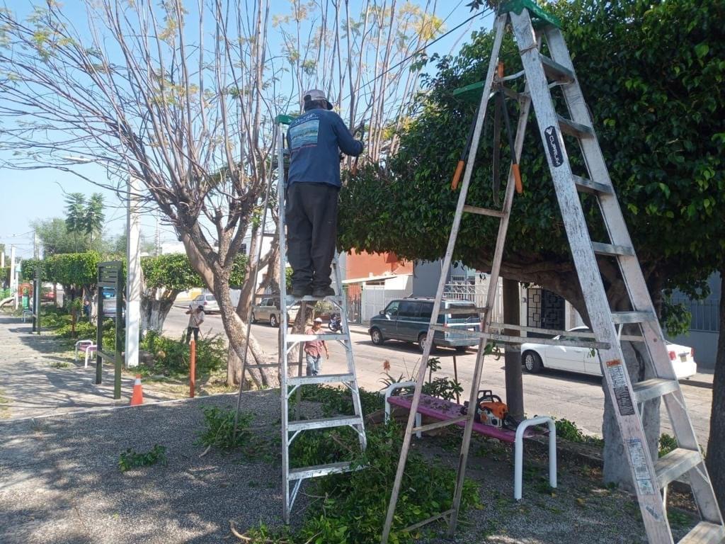 Mejoran imagen de área verde en Arboledas