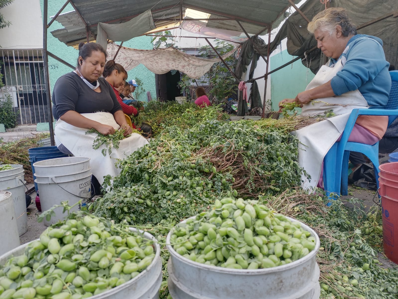 Por falta de inclusión laboral en empresas, adultos mayores recurren a trabajos poco renumerados