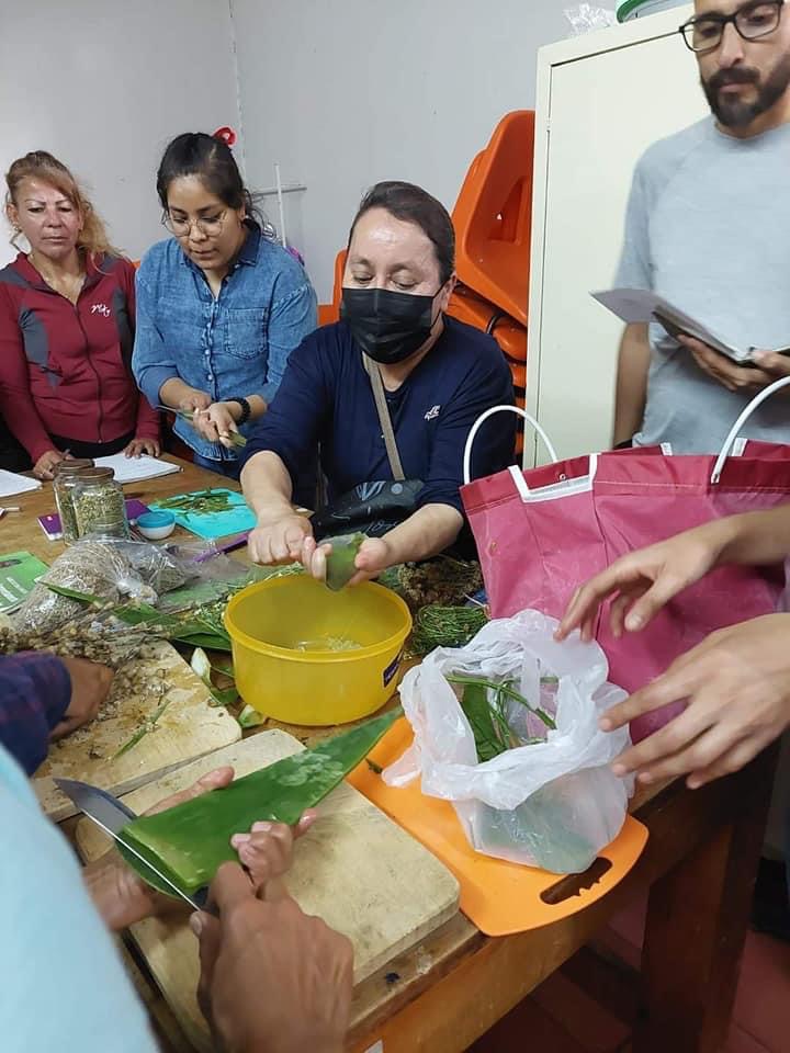 El ayuntamiento de Tangancícuaro inicia con éxito el curso de “medicina tradicional”