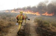 Van más de 40 incendios de pastizales en diciembre