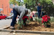 Colocan cerca de 2 mil plantas ornamentales en la plaza principal