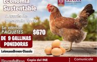 El 13 de enero, último día para adquirir paquetes de gallinas ponedoras en Jacona