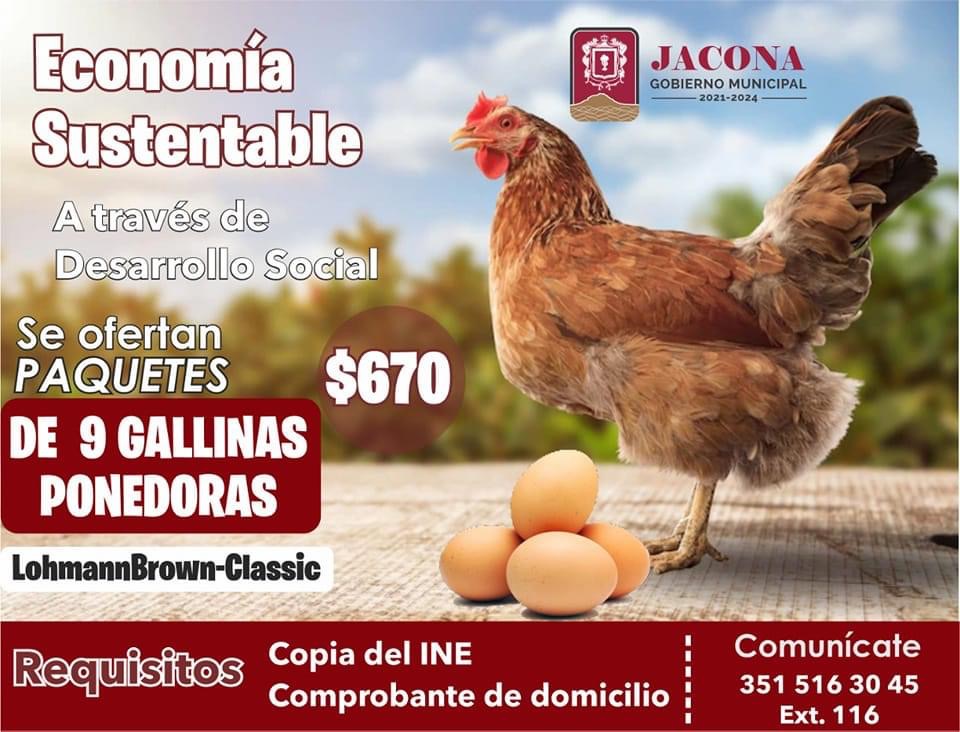 El 13 de enero, último día para adquirir paquetes de gallinas ponedoras en Jacona