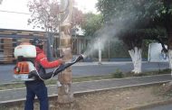 Continúa campaña de fumigación de árboles en Hidalgo y Ferrocarril