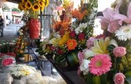 Las flores al alza sufren los novios para comprarlas previo a llegada de San Valentín