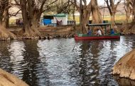 Por primera vez realizarán la Feria de la Orquídea en el Lago de Camécuaro