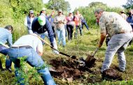 *Gobierno de Michoacán prepara certificación ambiental para cultivo de aguacate*