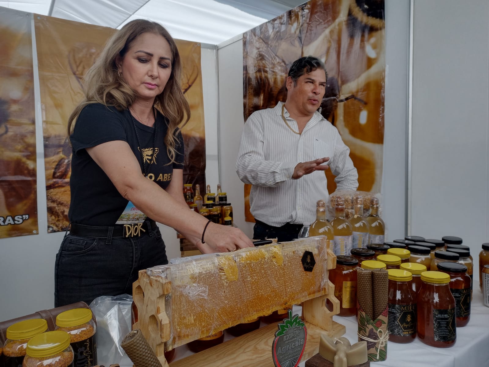 Agricultores deben apostar a las abejas para incrementar rentabilidad y la calidad del aguacate