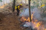 CONAFOR realiza actividades preventivas en focos rojos de región Zamora