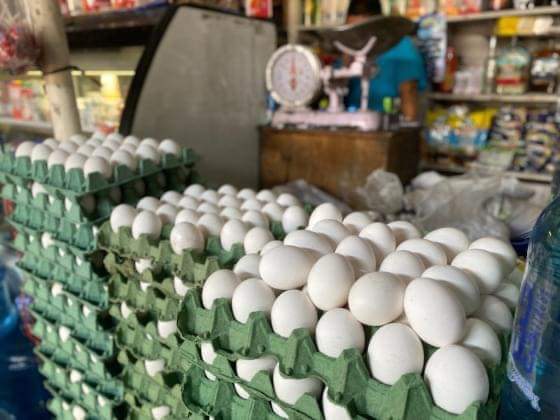 EL Kilo de huevo en Zamora ronda los 56 pesos en promedio; es el más alto en Michoacán