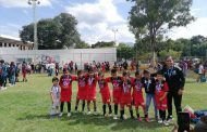 Celebra Linces Zamora subcampeonato de copa de equipo Mini Pony