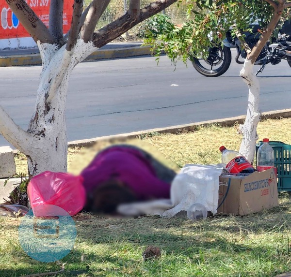 Madre e hija son baleada mientras vendían fresas en la 20 de Noviembre; hay una muerta y una herida