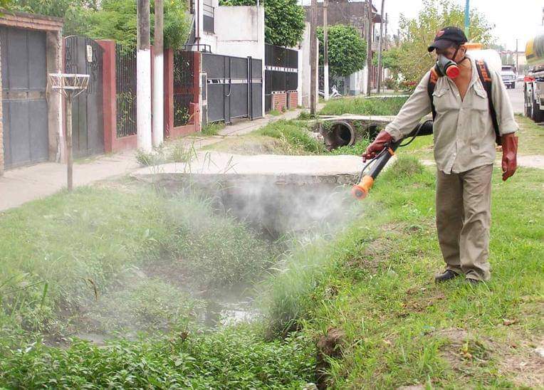 Reforzarán colocación de ovitrampas para detectar focos de riesgo de dengue