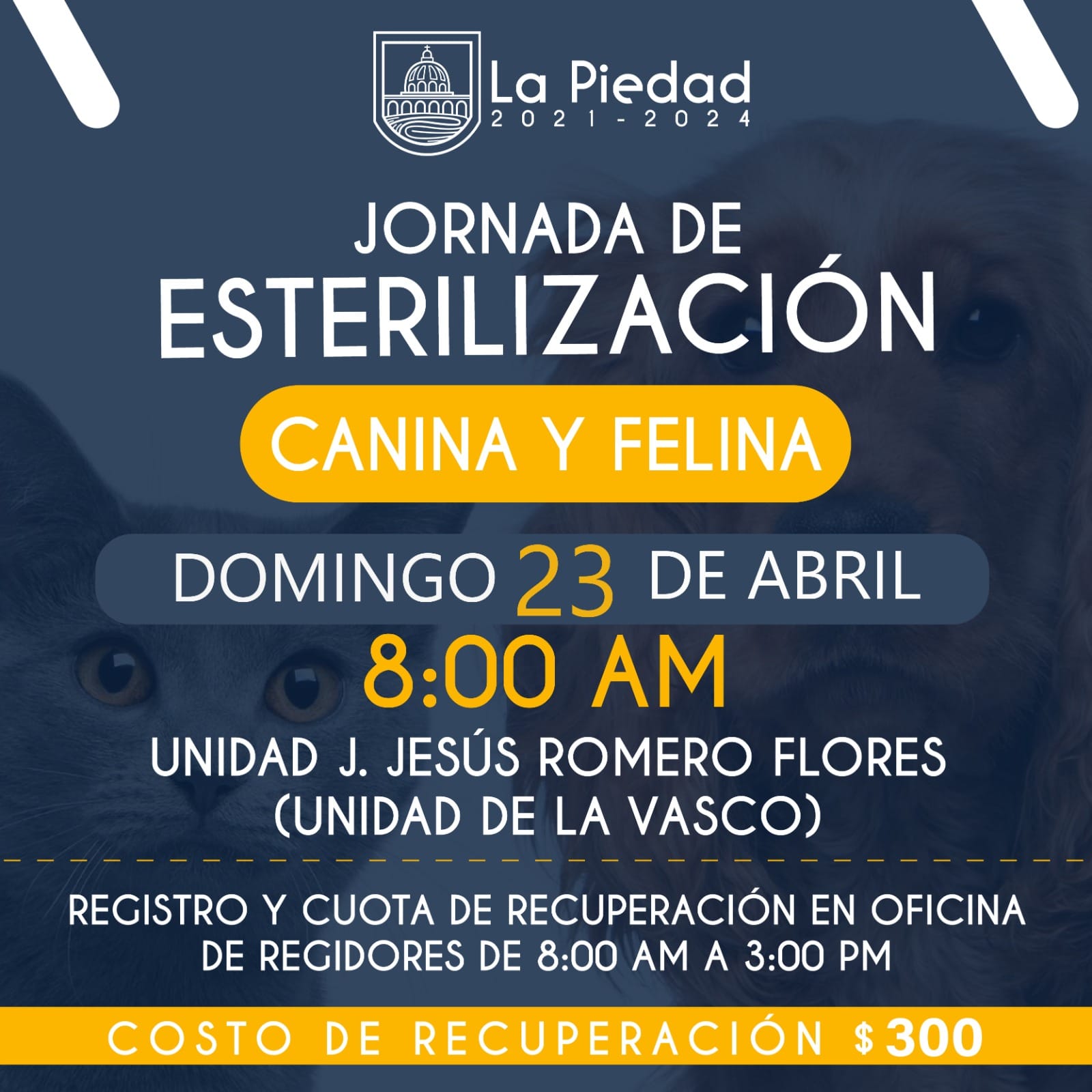 Habrá campaña de esterilización animal