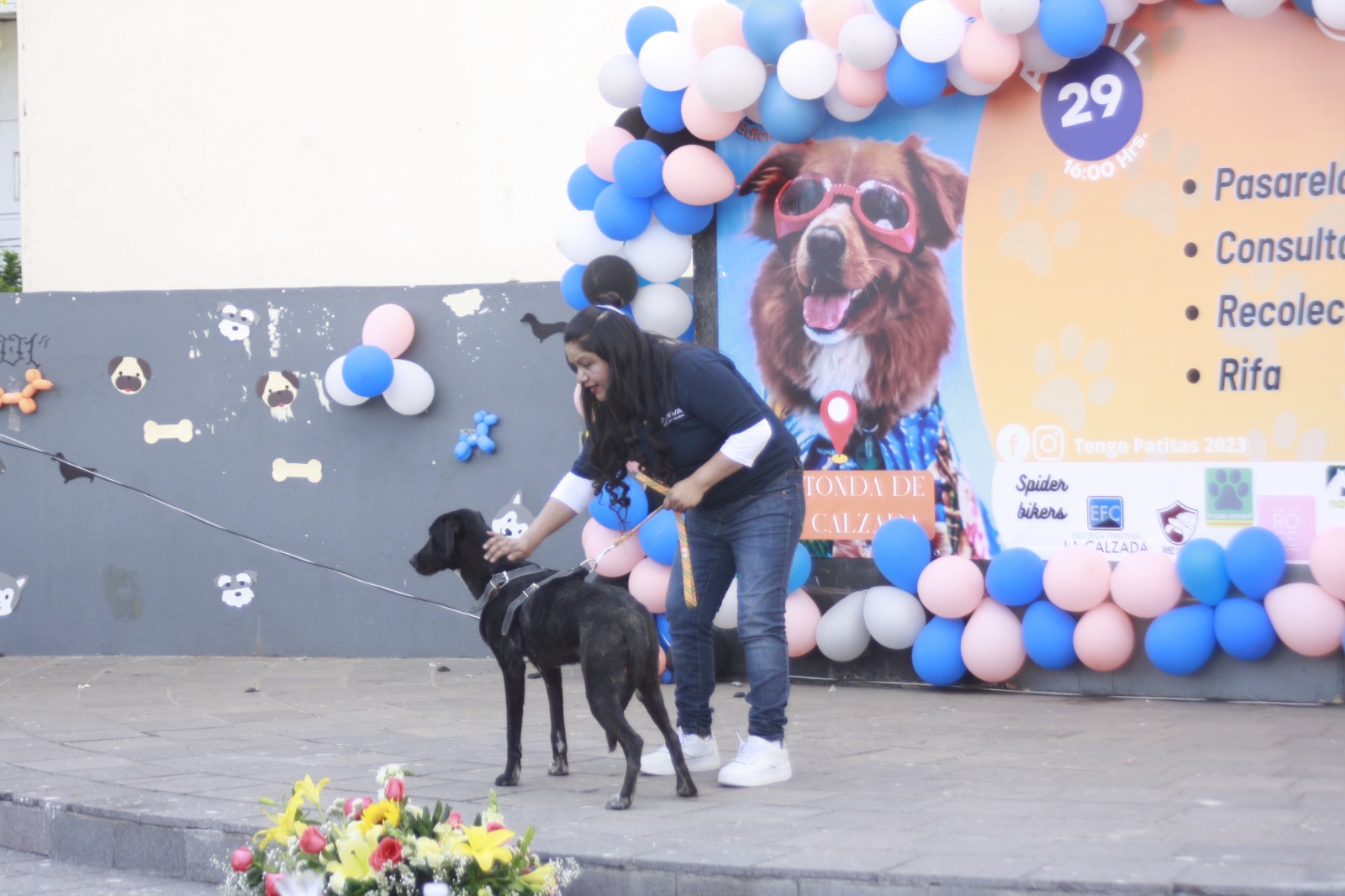 Se unen activistas para promover adopción de mascotas y recabar alimentos para perros rescatados