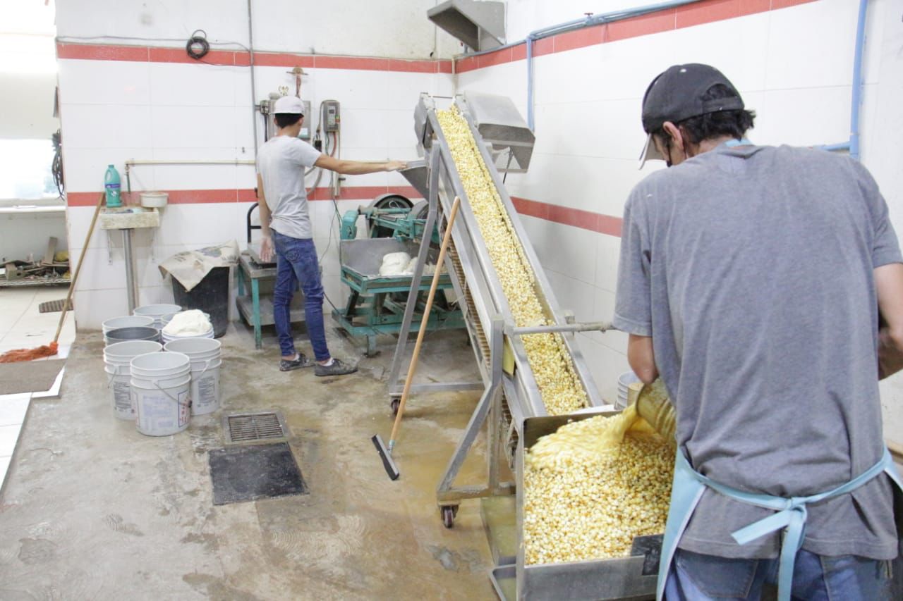 De momento, tortilleros sin intenciones de aumentar el costo del kilo de tortilla