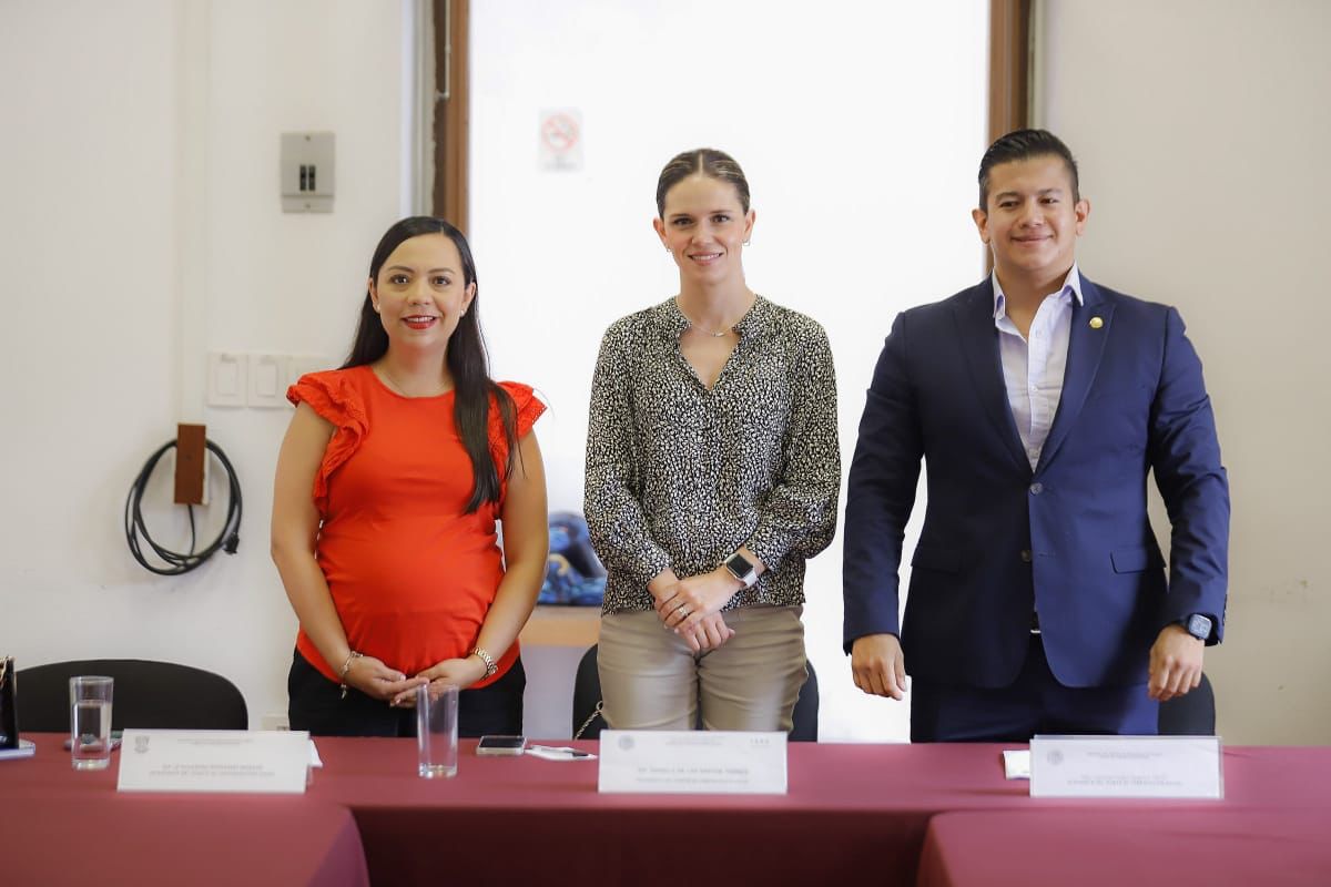 *Se integró diputada Liz Alejandra Hernández al Comité de Comunicación Social*