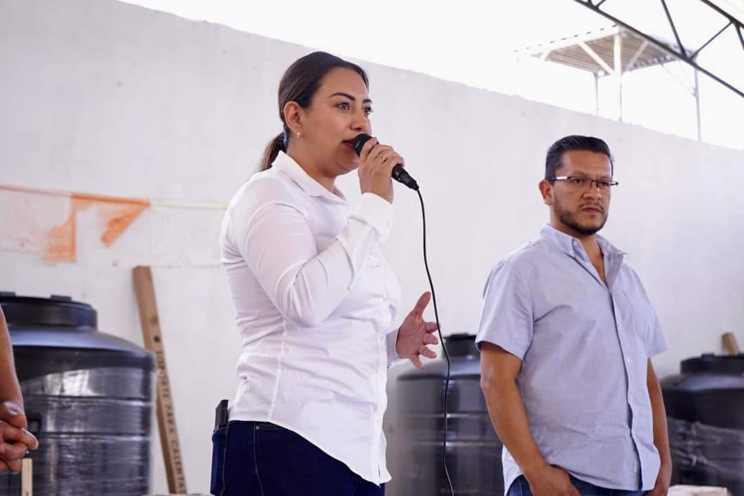 Publicación de reforma constitucional 3 de 3 contra violentadores, refuerza camino trazado en Michoacán: Mónica Valdez