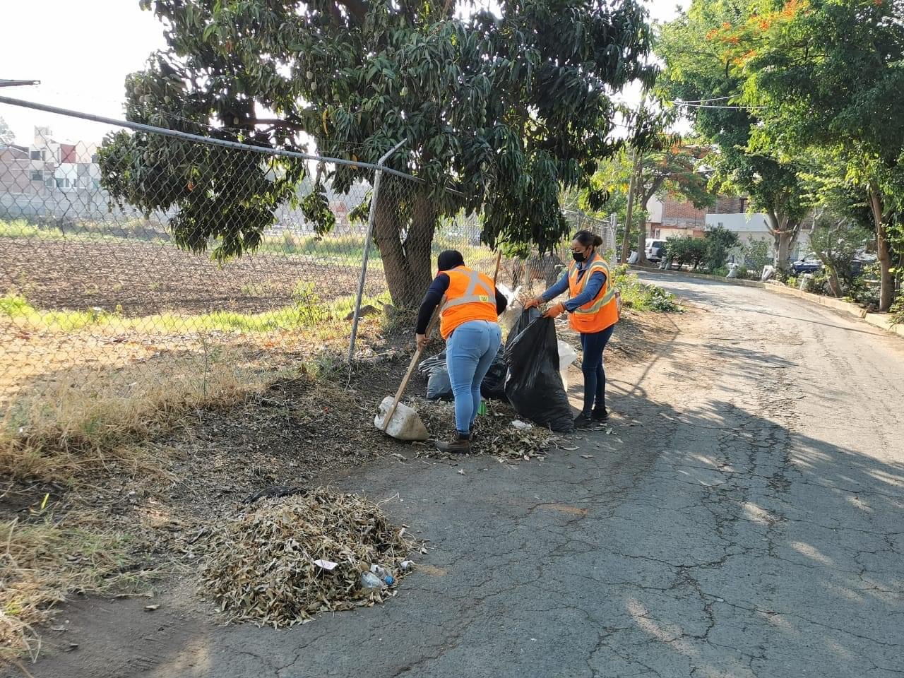 Llevaron faena de limpieza y mejoramiento a la colonia La Lima