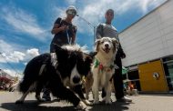 Ejército Mexicano organiza una caminata canina en Zamora