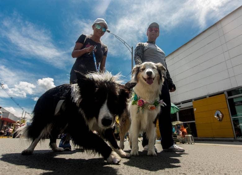 Ejército Mexicano organiza una caminata canina en Zamora