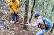 Controlado en un 100% el incendio forestal en el cerro de Patamban: Cofom