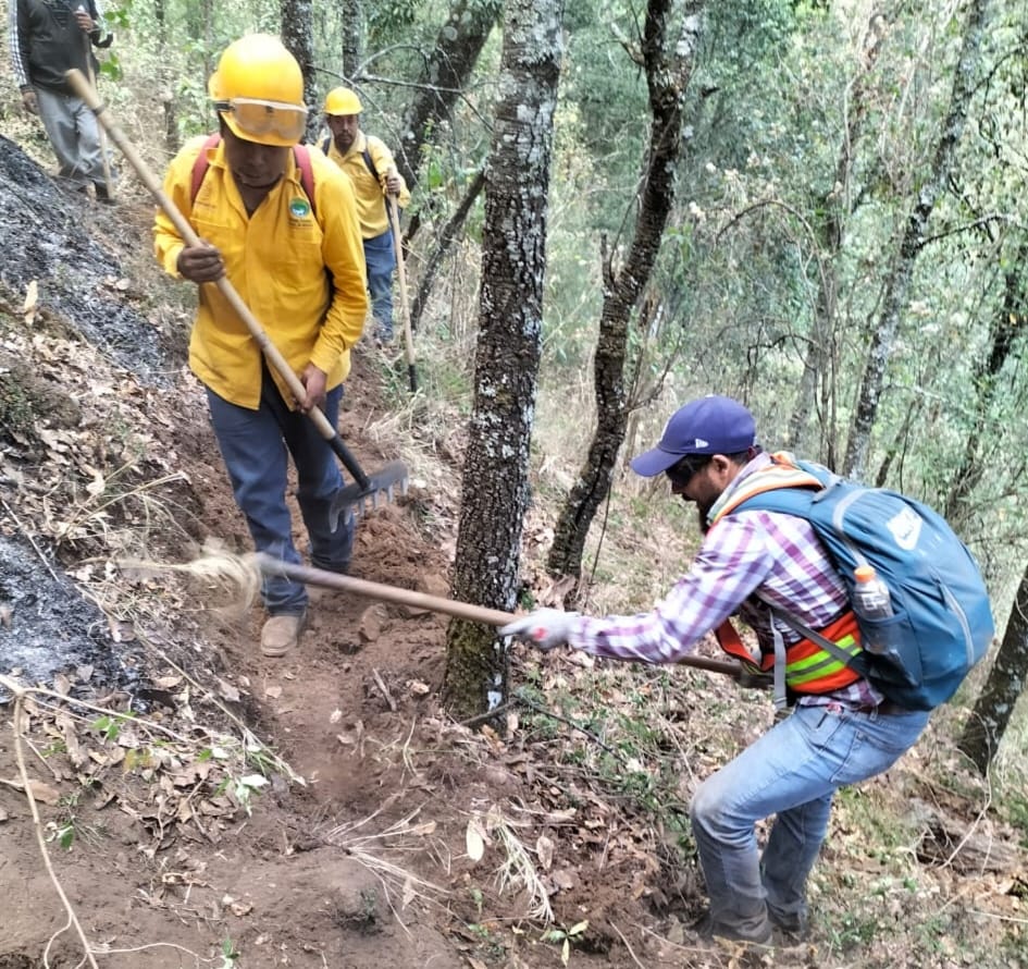 Controlado en un 100% el incendio forestal en el cerro de Patamban: Cofom