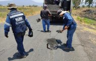 Aceleran acciones de bacheo, previo a temporal de lluvias