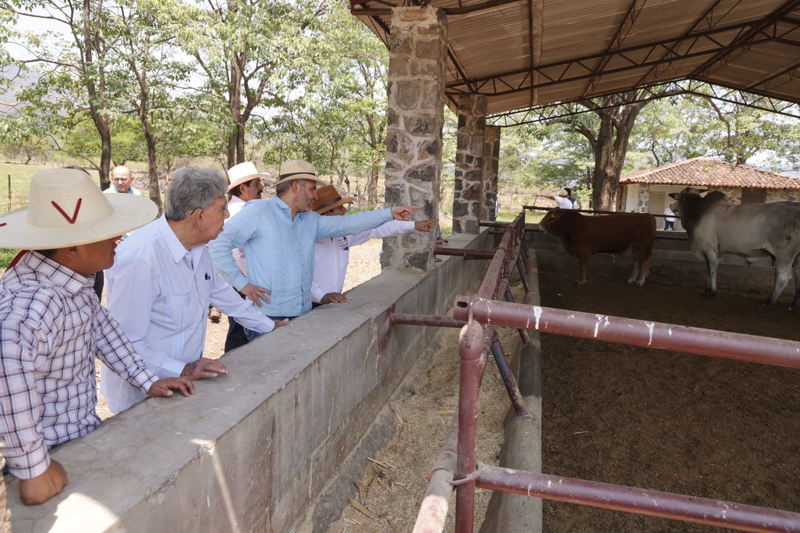 Bedolla y Cuauhtémoc Cárdenas visitan rancho ganadero de Tipítaro