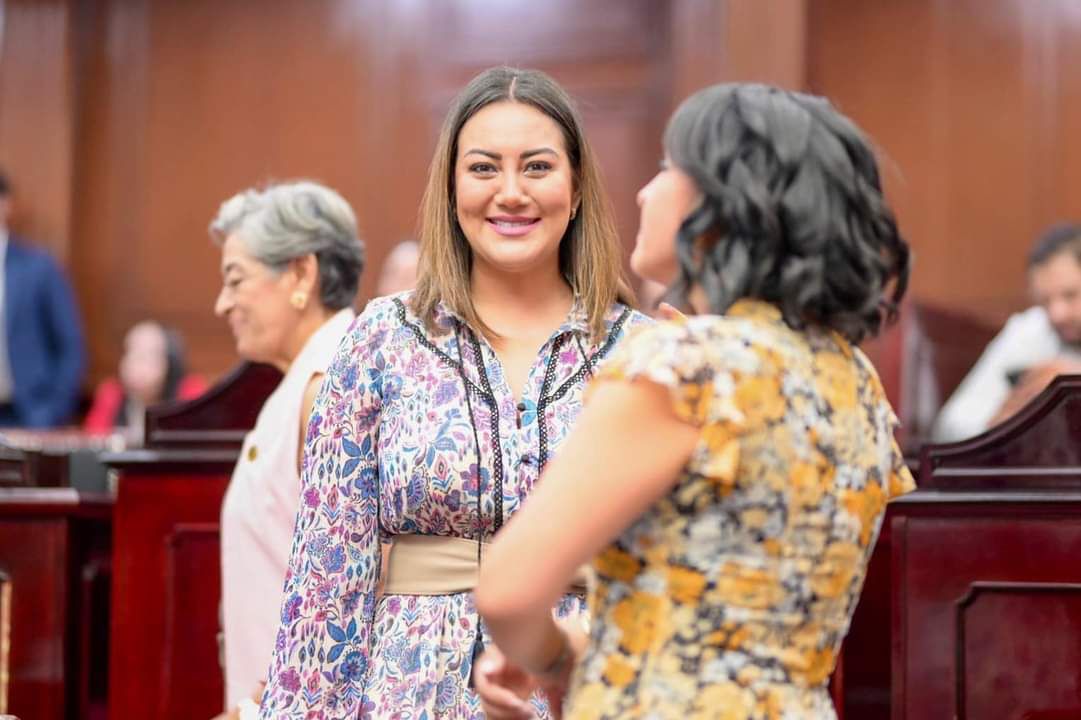 Publicar una Ley o decreto en tiempo y forma debe ser un derecho de las y los diputados: Mónica Valdez