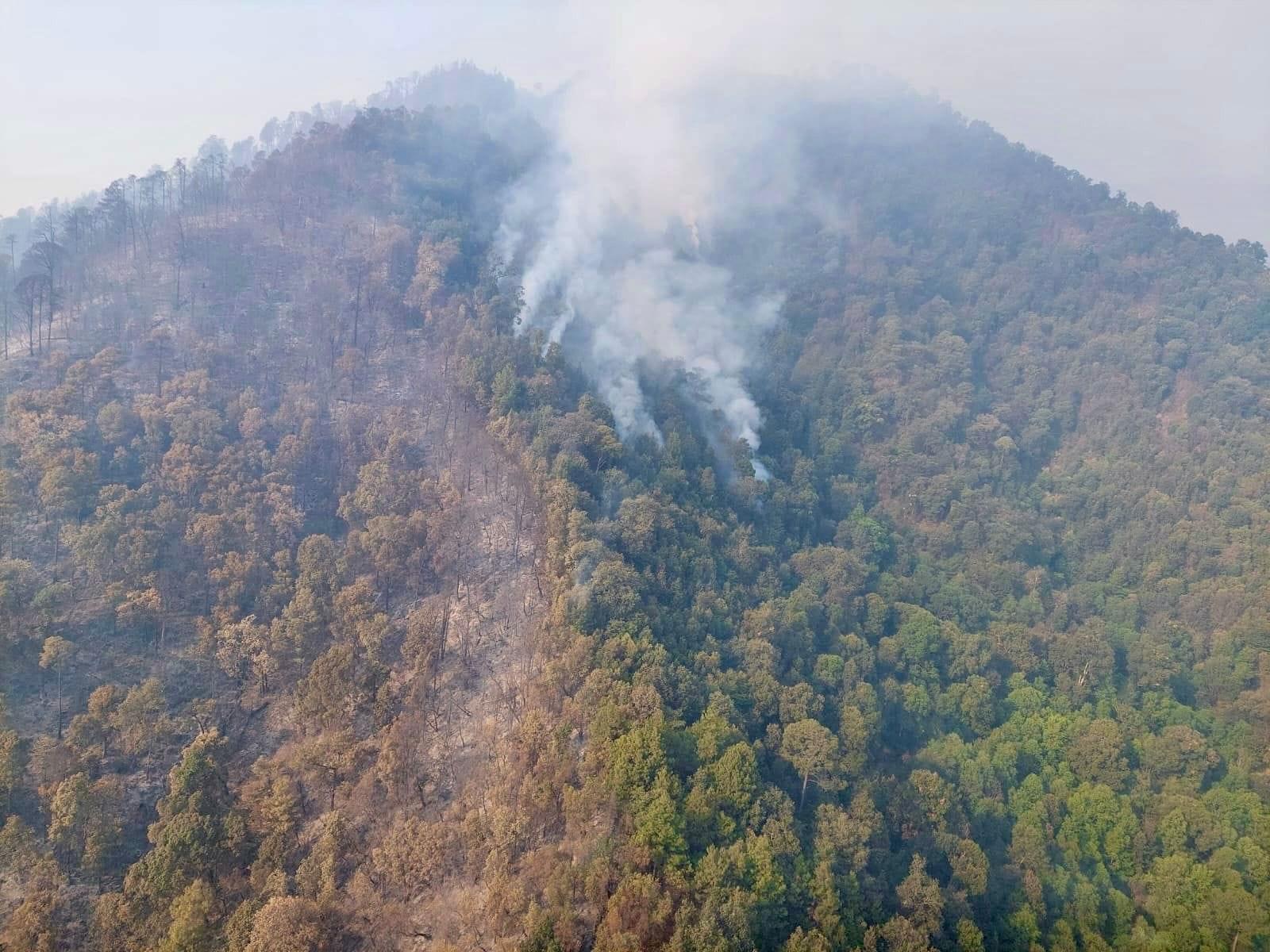 Más de 400 brigadistas combaten incendio forestal en cerro Grande Patamban