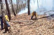 Refuerza Gobierno de Michoacán acciones para atender incendios forestales