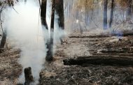 Baja 21% superficie afectada por incendios forestales en Michoacán en 2023: Cofom