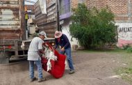 Realizaron descacharrización en colonia Alfonso García Robles