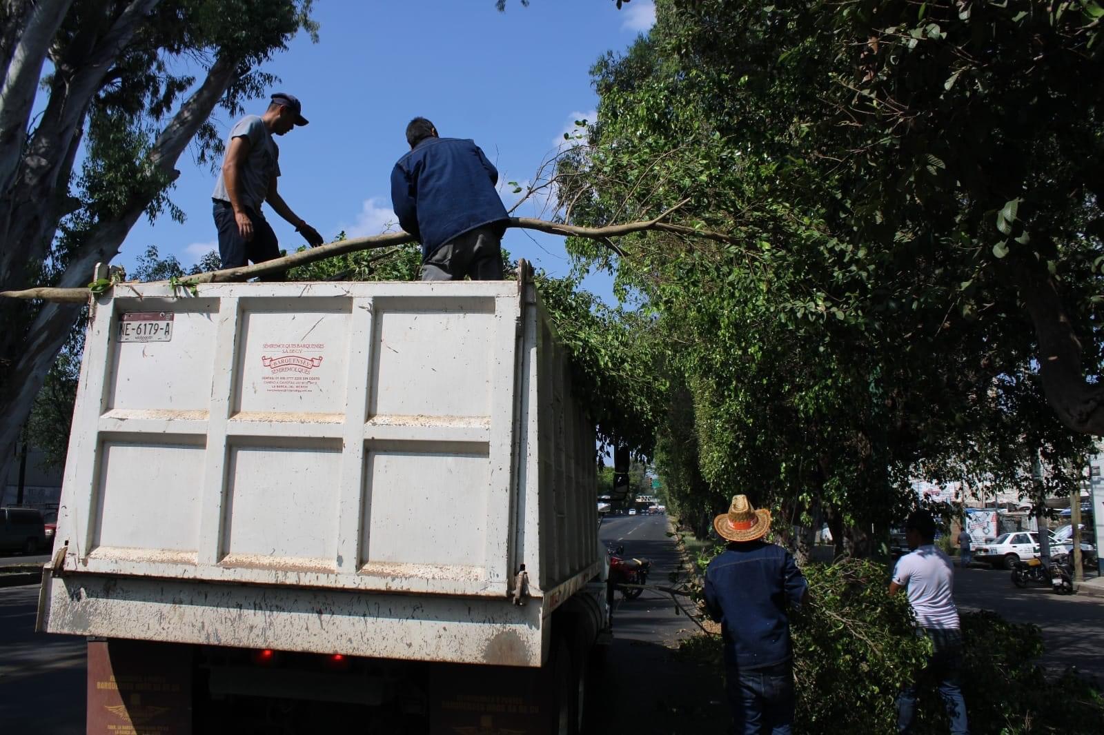 Intensifican acciones de mantenimiento en áreas verdes de Zamora durante la temporada de lluvias