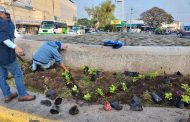 Embellecen la glorieta 5 de mayo