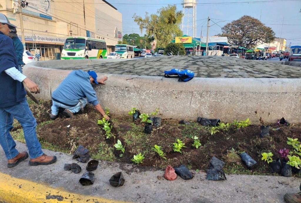 Embellecen la glorieta 5 de mayo