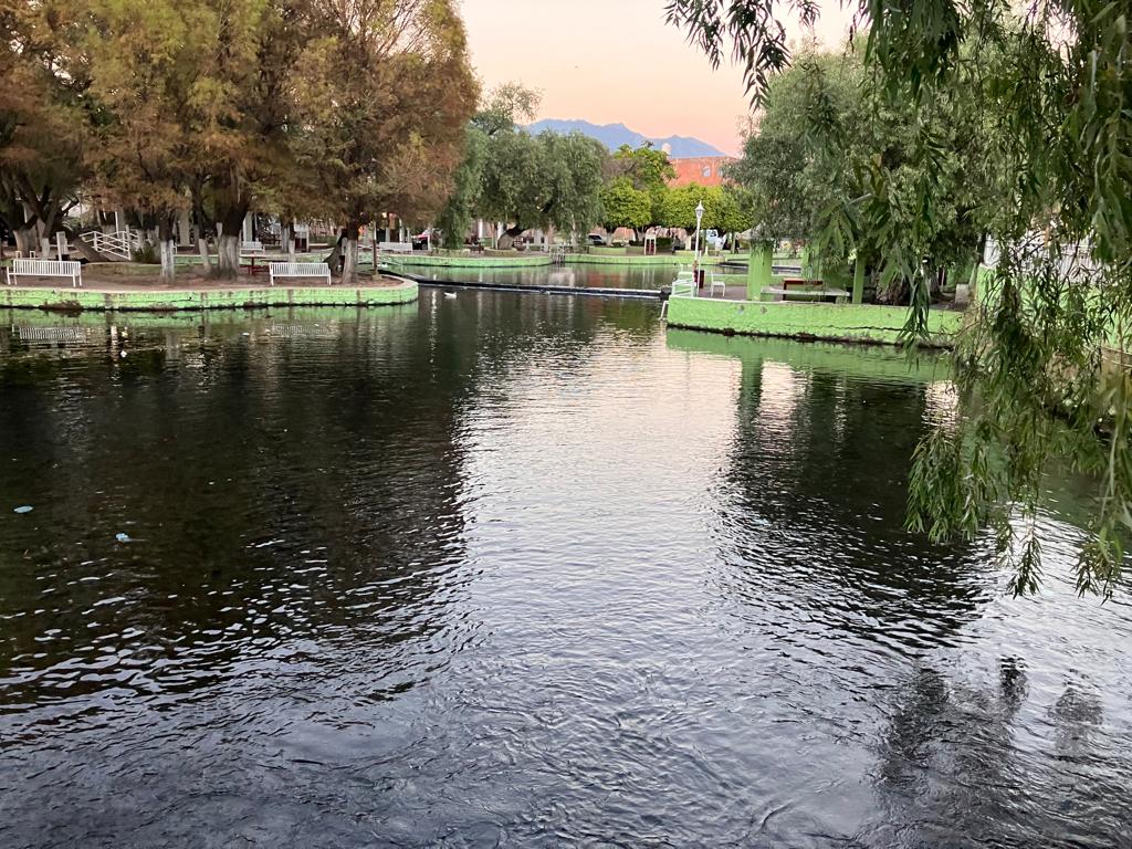 El agua, recurso estratégico; se protegerán 50 manantiales: Méndez