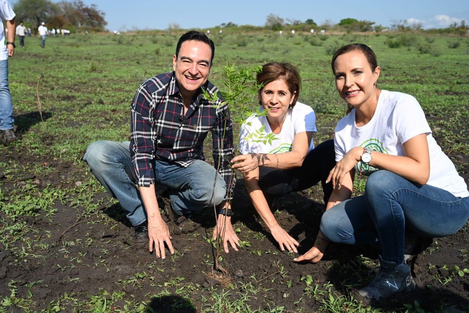 Encabeza Carlos Soto acciones de arborización en el nuevo panteón de Ario de Rayón