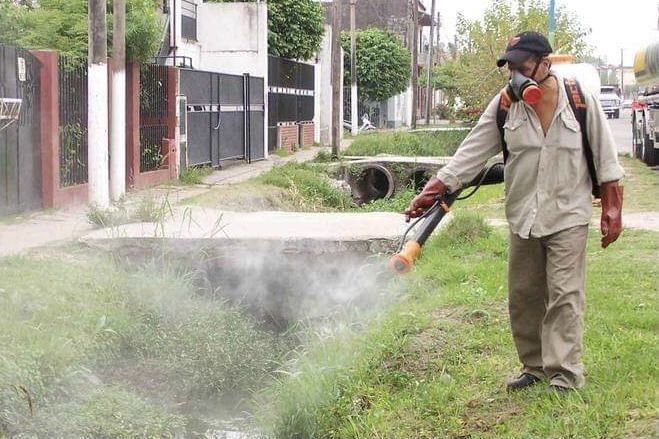 En Zamora dengue estacionado con un contagio