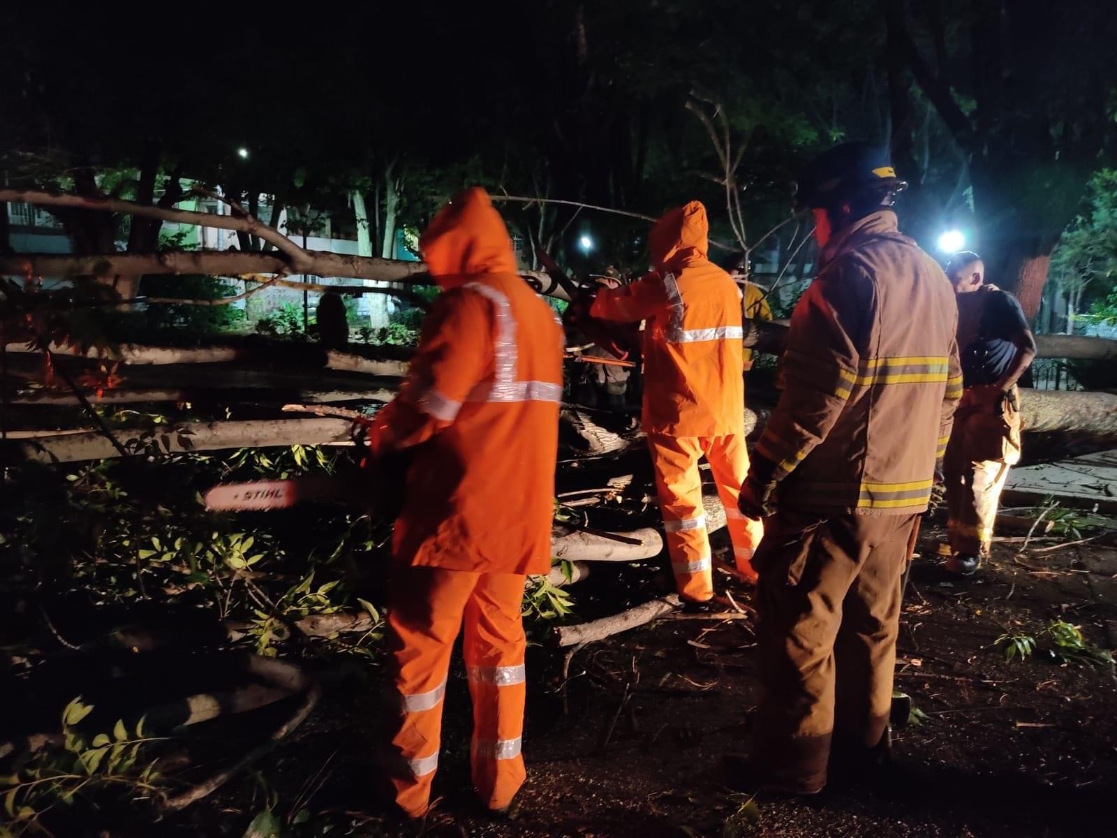 Personal de Protección Civil y Bomberos Municipales de Zamora trabaja sin descanso