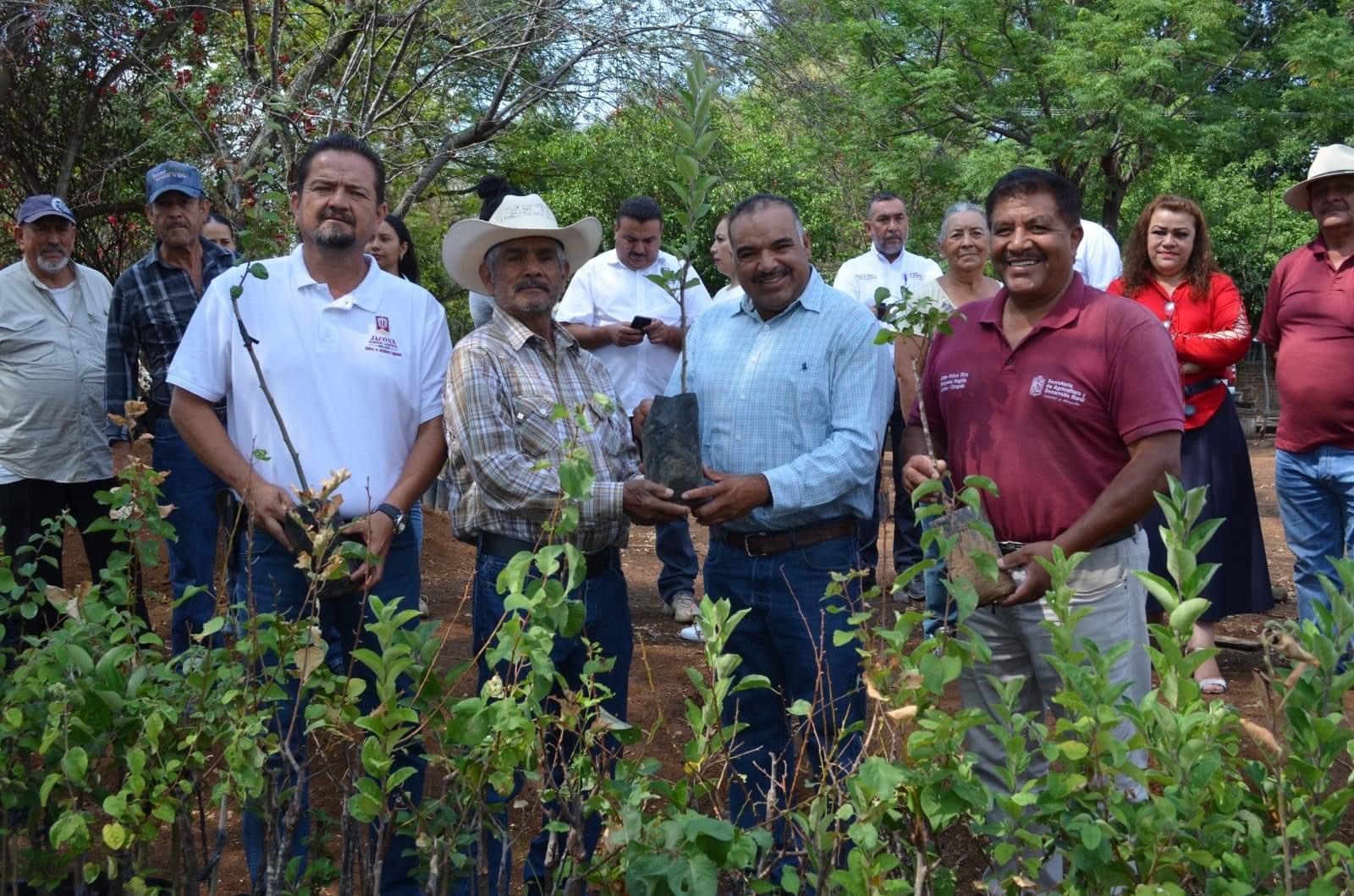 Entrega Alcalde Isidoro Mosqueda Árboles Frutales