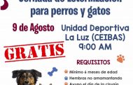 Nueva jornada gratuita de Esterilización de Mascotas en Jacona