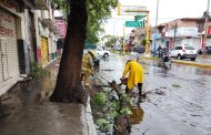 Protección Civil atendió reportes por árboles caídos y encharcamientos debido a las fuertes lluvias