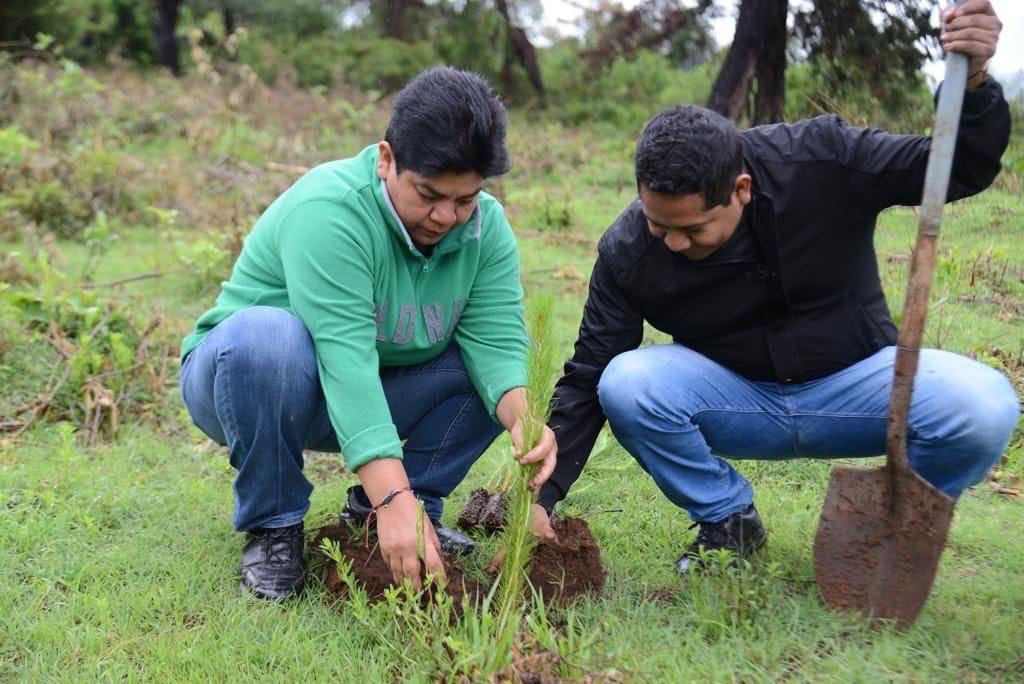 En Chilchota se unen Gobierno, sector empresarial y sociedad civil en una emotiva jornada de reforestación