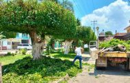 Intensifican labores para mantener en buenas condiciones las áreas verdes