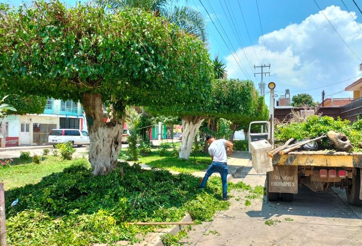 Intensifican labores para mantener en buenas condiciones las áreas verdes