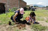 Con la campaña Zamora respira han sido plantados y donados más de 7 mil árboles