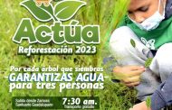 Invitan a la población a sumarse a reforestación en #Chilchota